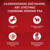 PURINA ONE MINI Dog Sensitive Salmão & Arroz 1,5kg