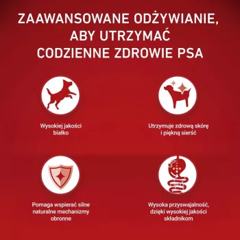 PURINA ONE MINI Dog Sensitive Salmão & Arroz 1,5kg