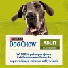 Purina DOG CHOW Large Breed Adult 14 kg peru