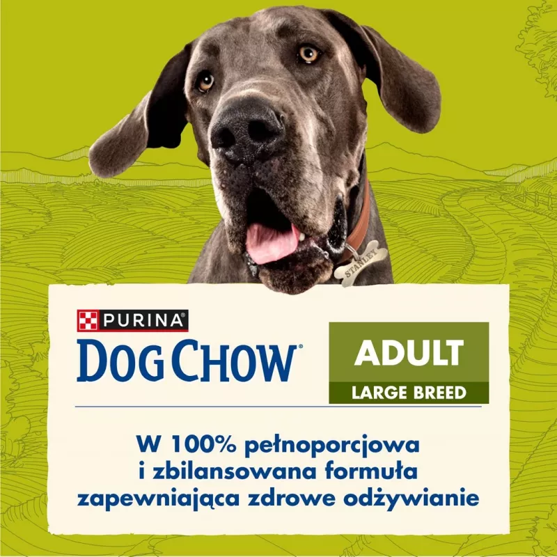 Purina DOG CHOW Large Breed Adult 14 kg peru