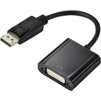 Renkforce RF-5771774 Adaptador DisplayPort / DVI [1x ficha DisplayPort - 1x conector fêmea DVI 24+5 pol.] preto bainha PVC 15 cm (RF-5771774)