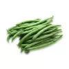 Sementes de feijão Nomad Green Dwarf, 50g - sementes de hortícolas