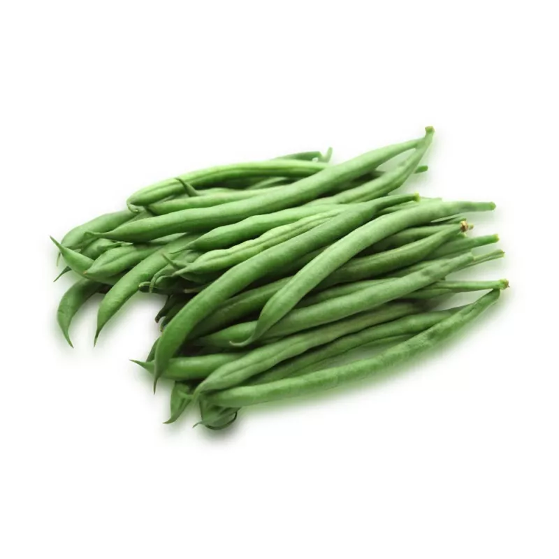 Sementes de feijão Nomad Green Dwarf, 50g - sementes de hortícolas