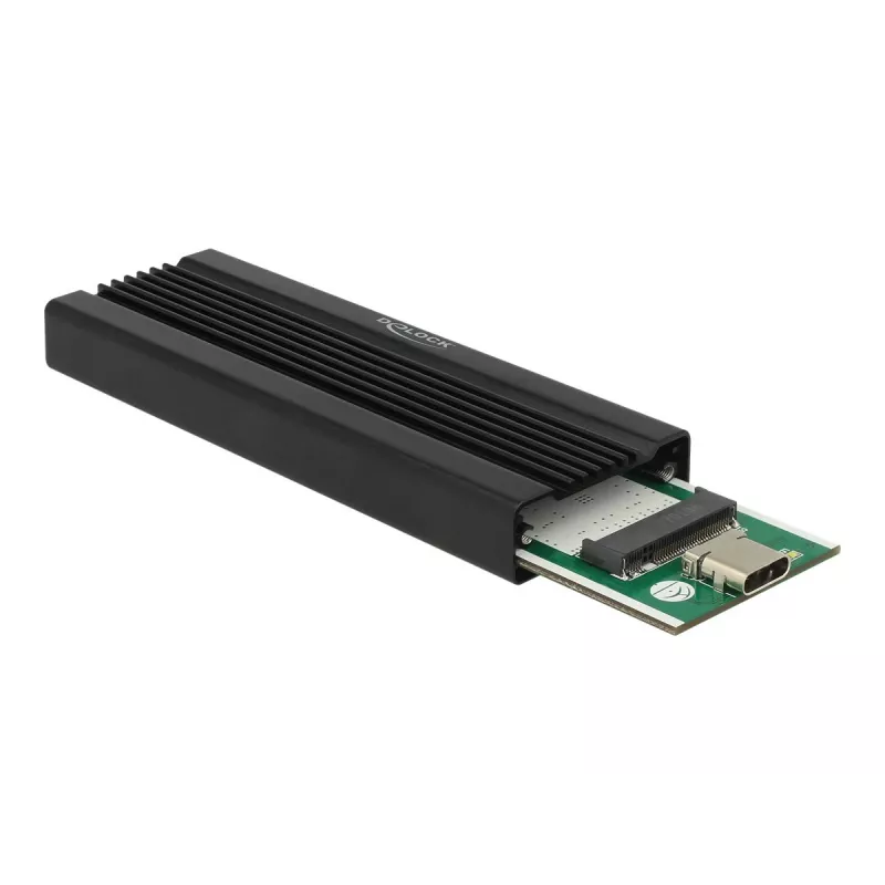 Placa de interface DeLOCK 42600 USB 3.2 Gen 1