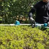 Makita DUN600L lâmina dupla 3,4 kg