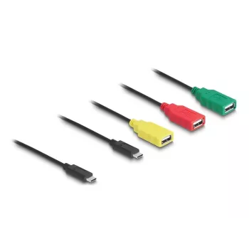 Hub de cabo USB 2.0 DeLOCK 4 portas USB Type-C para 3 x conector fêmea USB-A + 1 x macho USB-C