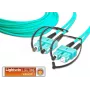 Lightwin LDP-50 SC-SC 4.0 OM3 Cabo de fibra ótica 4 m cor Aqua (LDP-50 SC-SC 4.0 OM3)