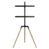 Suporte de chão para TV 32-65/TRIPOD TVS-65S-01 Gembird