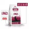 PUPIL Premium Raças Médias e Grandes Rico em Vitela - Alimento seco para cães - 12 kg