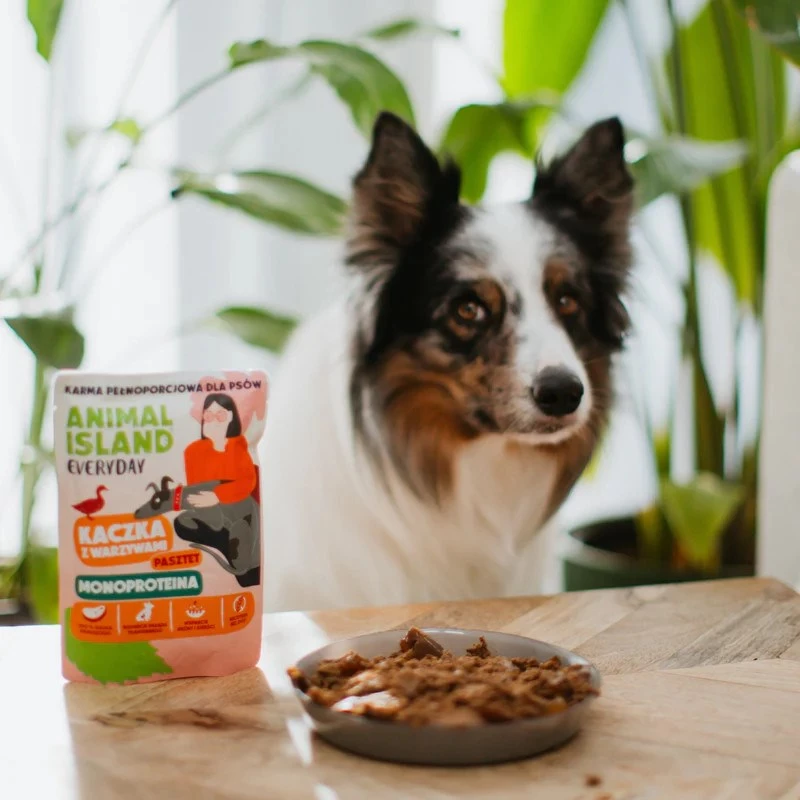 ANIMAL ISLAND Monoproteico pato para cães 300g