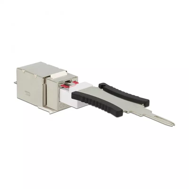 Delock 86404 módulo Keystone RJ45 Secure Cat.6 para LSA, branco