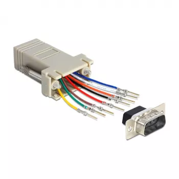 Adaptador de cabo Adaptador DeLOCK 65462