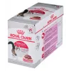 Royal Canin FHN Instinctive comida húmida em paté para gatos adultos, 12 x 85 g