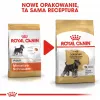 Ração seca para cães Royal Canin Miniature Schnauzer Adult, aves, 3 kg, para raças pequenas