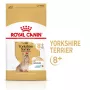 Comida seca para cães Royal Canin Yorkshire Terrier 8+ 3 kg — aves, para yorkshire terriers idosos, proteína 29%, gordura 18%