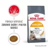ROYAL CANIN Hair&Skin Care Adult - ração seca para gatos - 400g