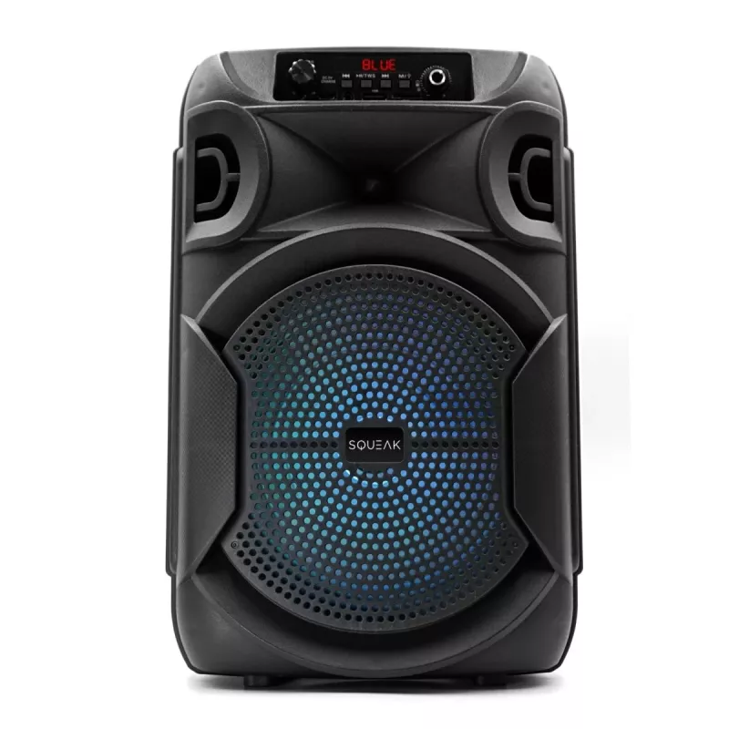 ALTIFALANTE BLUETOOTH 5.3 E DR PULSETOWER SQ1006