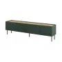 Móvel RTV 4D ONDA 200x40xH54.35 verde (de pé ou montado na parede)