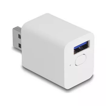 Tomada inteligente DELOCK 11832 — tomada interior inteligente Wi‑Fi, 2 A, 2400 MHz, branca