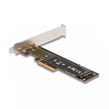 Placa DeLOCK PCI Express x4 para 1 x NVMe M.2 Key M 110 mm interno Low Profile
