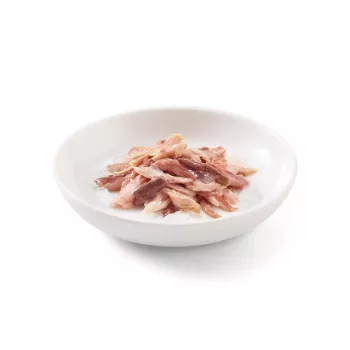 SCHESIR Atum com Vaca em Gelatina - Alimento húmido para gatos - 85 g