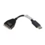 Lenovo 43N9160 DVI-D DisplayPort preto
