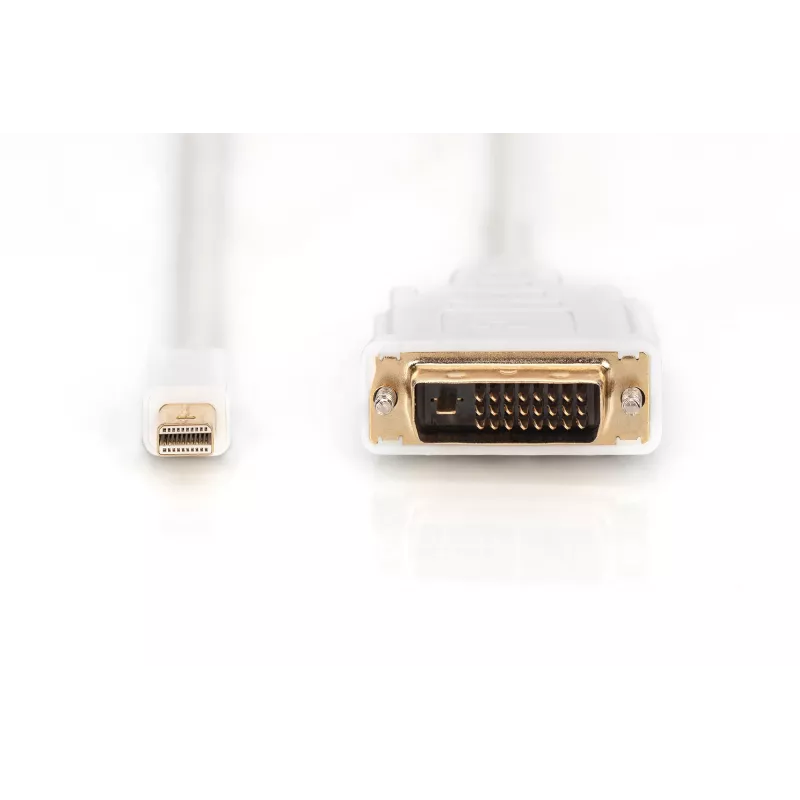 Cabo DisplayPort 1.1a Mini DP-DVI Type-A macho-macho 2,0 m