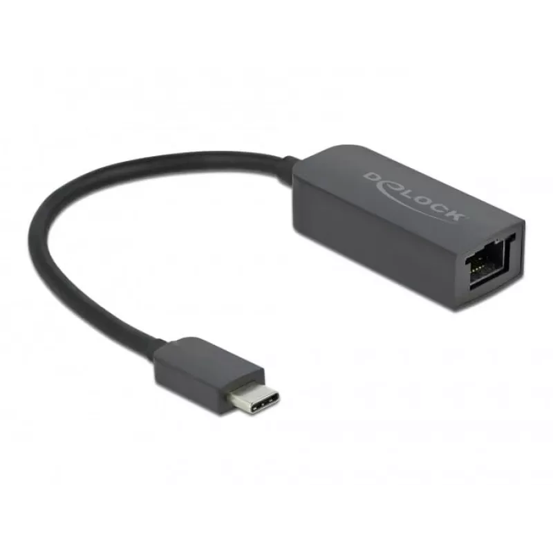 Adaptador USB Type-C macho para LAN 2,5 Gigabit compacto DeLOCK 66645