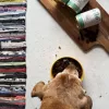 OLLO Umami ganso e peru - Ração húmida para cães - 850 g