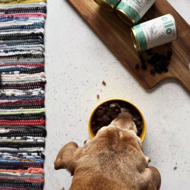 OLLO Umami ganso e peru - Ração húmida para cães - 850 g