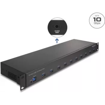DeLOCK 64240 Hub USB industrial 19 polegadas, 10 x USB-A, 10 Gbit/s