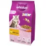 Whiskas Junior com frango ração seca para gatos, 14 kg