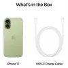 Smartphone Apple iPhone 17 256GB Sage — 256 GB de armazenamento, cor Sage
