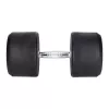 Haltere com revestimento de borracha 45 kg HMS HG PRO 45