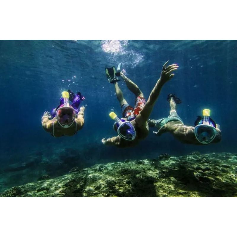 Máscara de snorkel de visão total Free Breath M2068G S/M — rosa, antiembaciamento, visão panorâmica