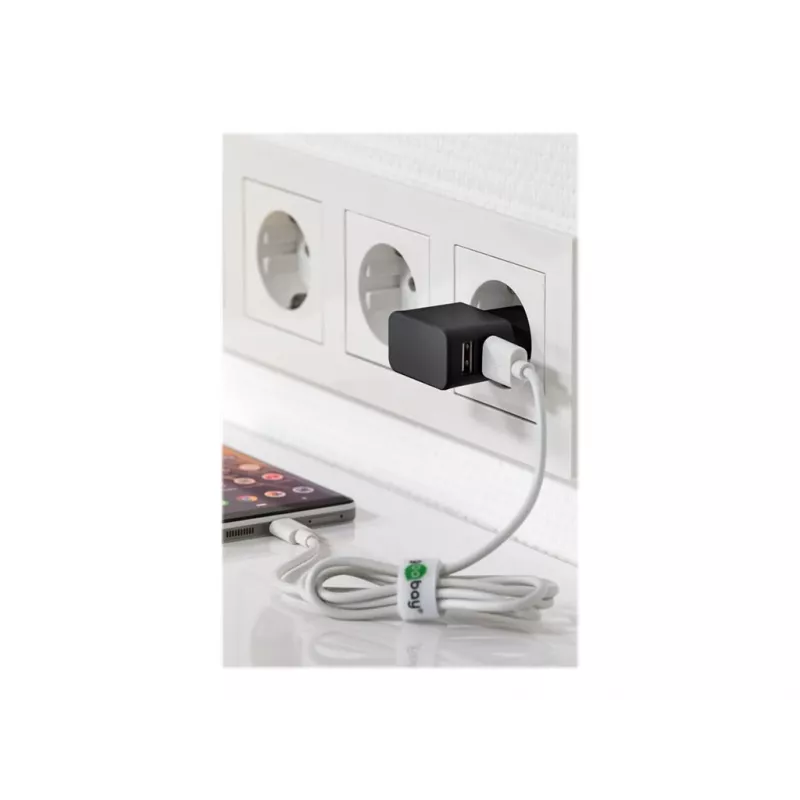 Carregador USB duplo Wentronic goobay - Fonte de alimentação - 12 Watt - 2,4 A - 2 portas de saída (USB) - Preto (44951)