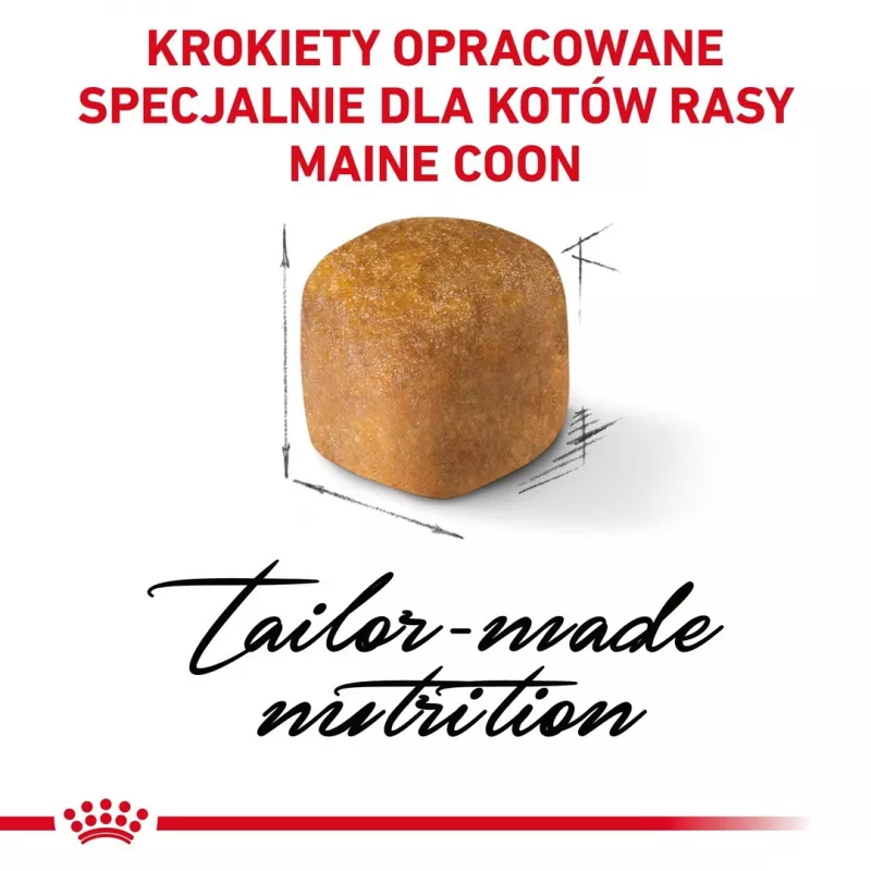 Comida seca para gatos Royal Canin Maine Coon Kitten 2 kg — aves, proteína 36%, gordura 23%
