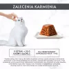 Comida húmida para gatos Purina Nestlé Gourmet Revelations pedaços em geleia com salmão 2x57 g, adulto, alimento completo