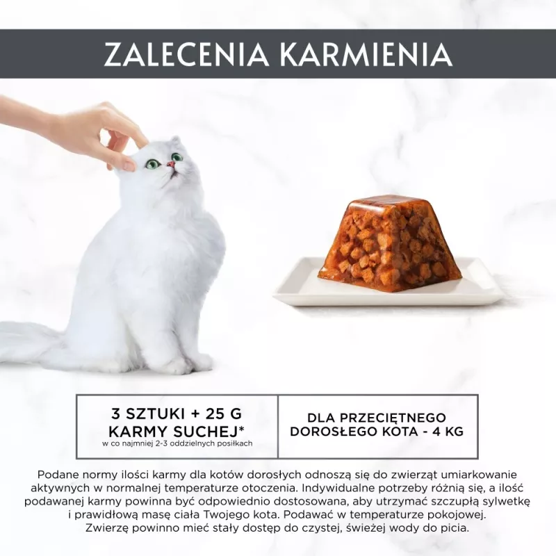 Comida húmida para gatos Purina Nestlé Gourmet Revelations pedaços em geleia com salmão 2x57 g, adulto, alimento completo