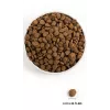 Acana Dog TF Regionals Grasslands 11,4 kg Adulto Pato, Ovo, Peixe, Borrego
