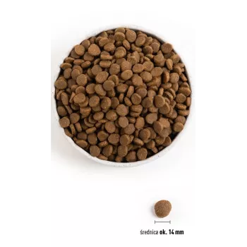 Acana Dog TF Regionals Grasslands 11,4 kg Adulto Pato, Ovo, Peixe, Borrego