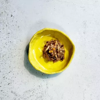 Ollo Atum com Queijo em Caldo Nº 10 70g