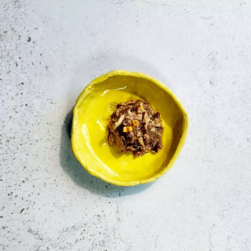 Ollo Atum com Queijo em Caldo Nº 10 70g