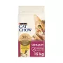 Purina Cat Chow Special Care Urinary Tract Health - Alimento seco para gatos 15 kg adulto frango