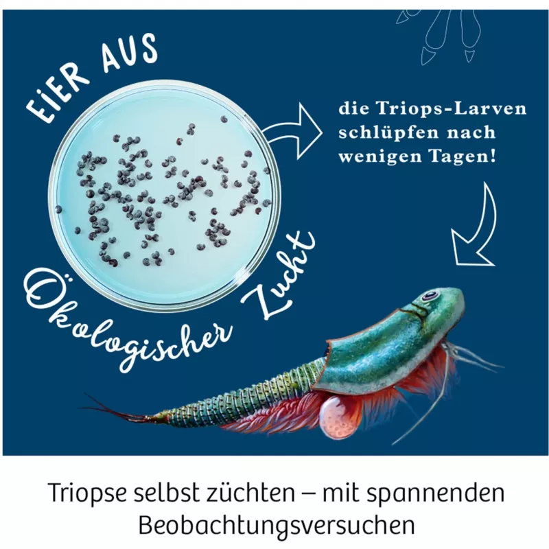 Kosmos 633073 Triops World kit de experiências