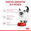 Royal Canin Feline Health Nutrition Kitten Instinctive em geleia ração húmida para gatinhos, 12 x 85 g