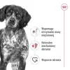 Royal Canin SHN Medium Adult ração seca para cães, 15 kg