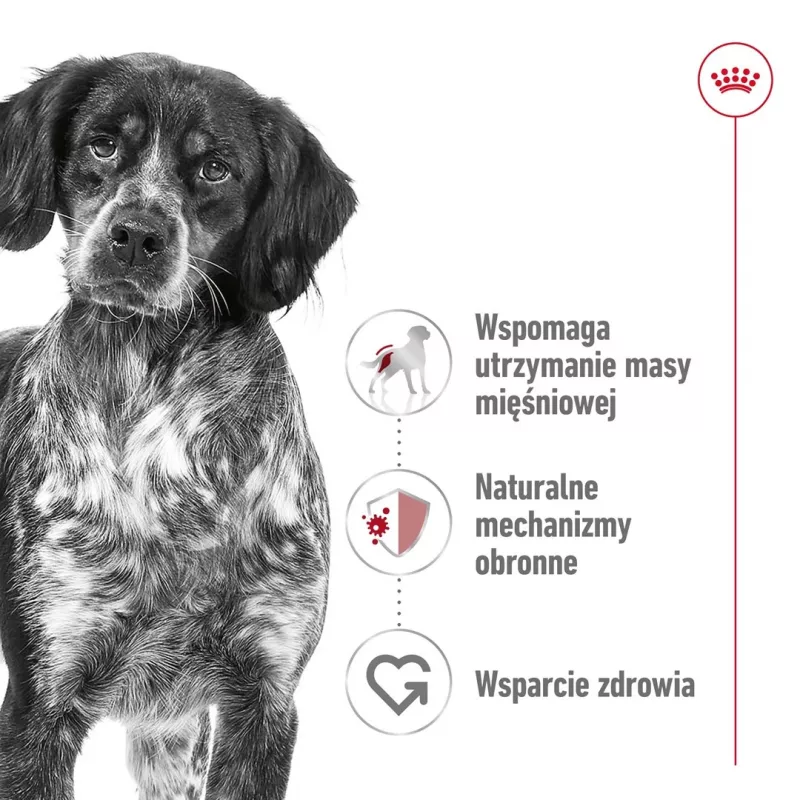 Royal Canin SHN Medium Adult ração seca para cães, 15 kg