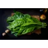 Sementes de hortícolas acelga Lucullus Toraf, pacote 5g