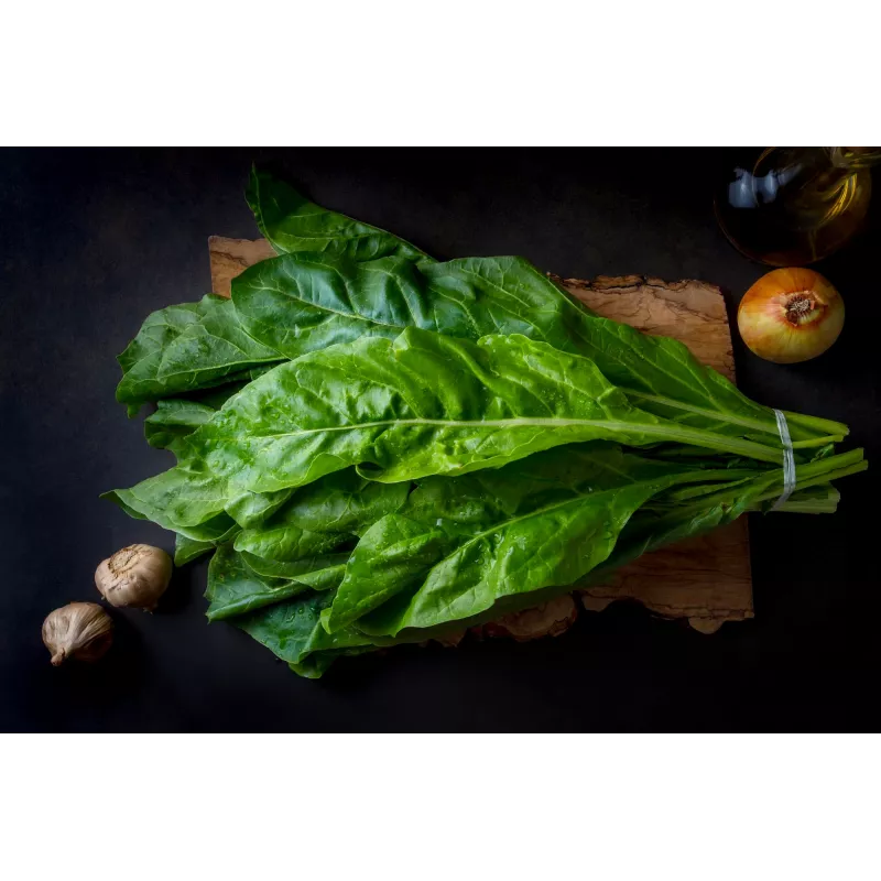 Sementes de hortícolas acelga Lucullus Toraf, pacote 5g